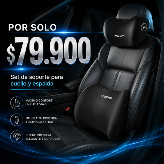 SET DE COJINES PARA CARRO